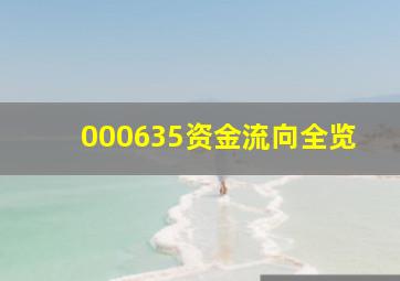 000635资金流向全览