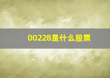 00228是什么股票