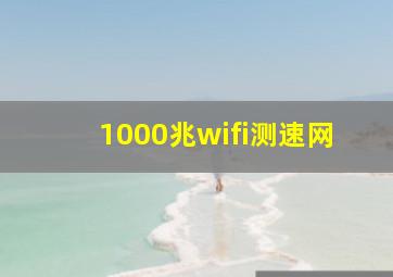 1000兆wifi测速网