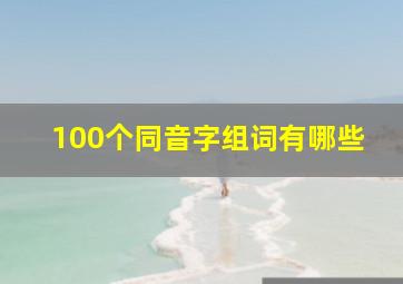 100个同音字组词有哪些