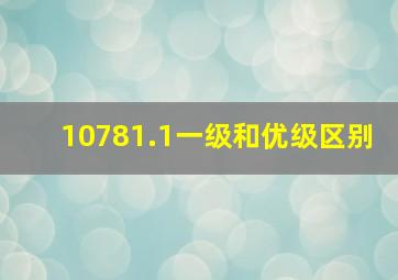 10781.1一级和优级区别