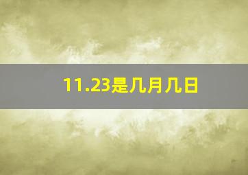 11.23是几月几日