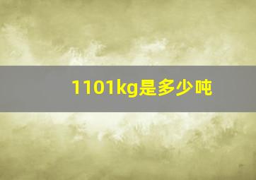 1101kg是多少吨