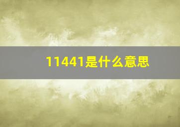 11441是什么意思