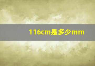 116cm是多少mm