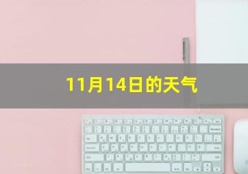 11月14日的天气