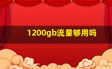 1200gb流量够用吗