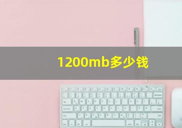 1200mb多少钱