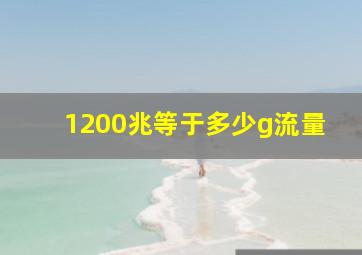 1200兆等于多少g流量