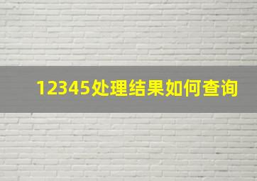 12345处理结果如何查询