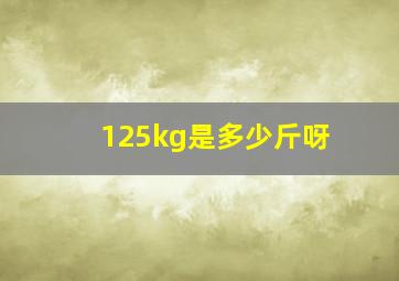 125kg是多少斤呀