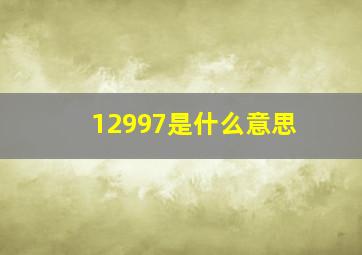 12997是什么意思