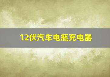 12伏汽车电瓶充电器