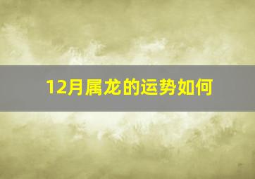 12月属龙的运势如何