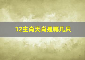 12生肖天肖是哪几只