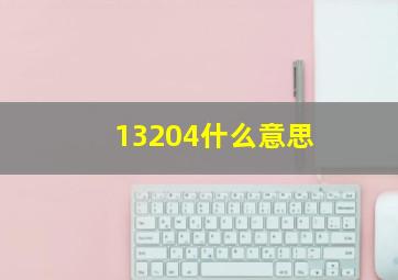 13204什么意思