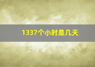 1337个小时是几天