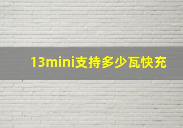 13mini支持多少瓦快充