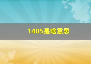 1405是啥意思