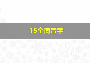 15个同音字