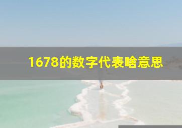 1678的数字代表啥意思