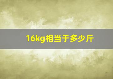 16kg相当于多少斤