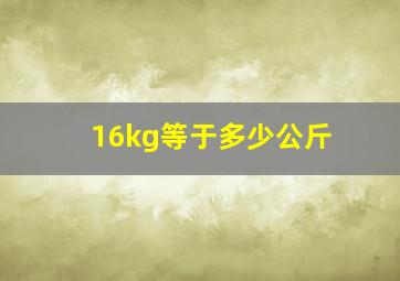 16kg等于多少公斤