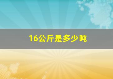 16公斤是多少吨