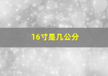 16寸是几公分