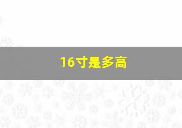 16寸是多高