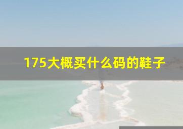 175大概买什么码的鞋子