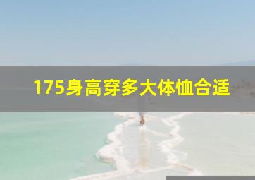 175身高穿多大体恤合适