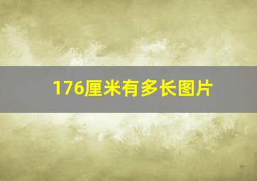 176厘米有多长图片