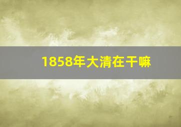 1858年大清在干嘛