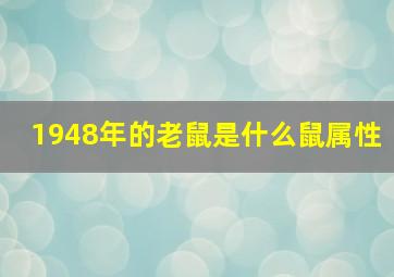 1948年的老鼠是什么鼠属性