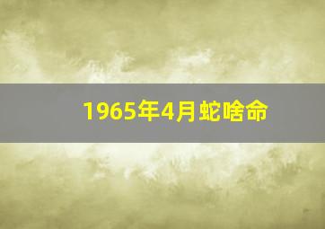 1965年4月蛇啥命