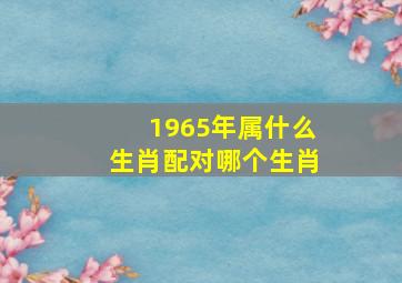 1965年属什么生肖配对哪个生肖