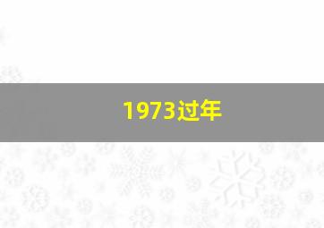 1973过年