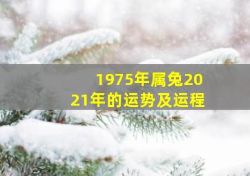 1975年属兔2021年的运势及运程