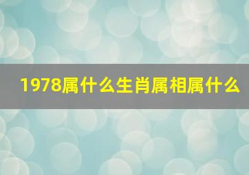 1978属什么生肖属相属什么