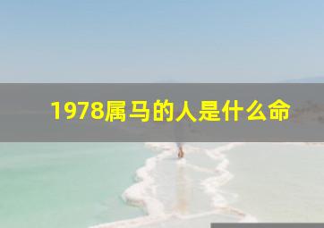 1978属马的人是什么命