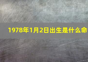 1978年1月2日出生是什么命