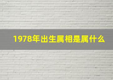 1978年出生属相是属什么