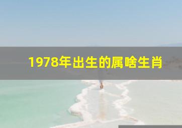 1978年出生的属啥生肖