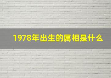 1978年出生的属相是什么