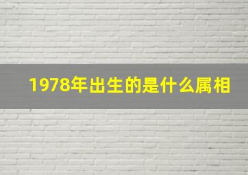 1978年出生的是什么属相