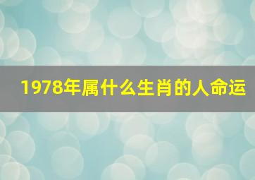 1978年属什么生肖的人命运