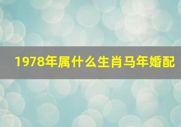 1978年属什么生肖马年婚配