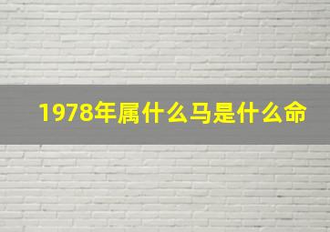 1978年属什么马是什么命