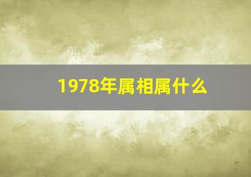 1978年属相属什么